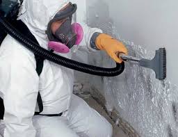 Mold Odor Removal Services in Kentland, IN